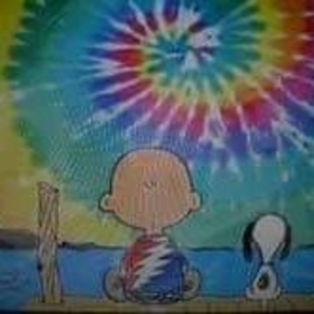 Meet your Posher, Judi